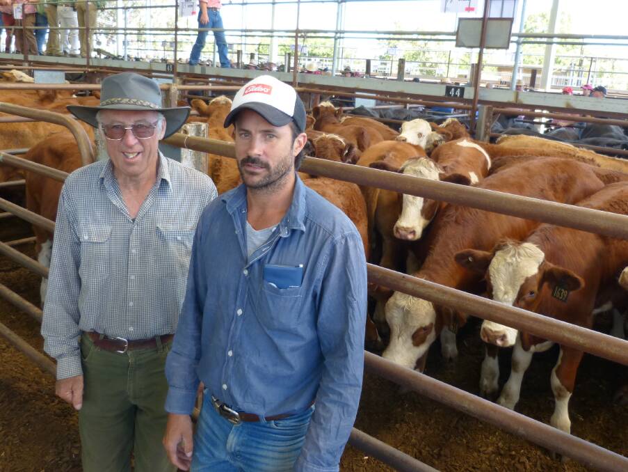 David McCann(R) and Gary Kibble, manage "Pokeen", Tarcombe, for a Melbourne-based owner They sold 50 Simmental-Red Angus steers at Euroa to a top of $1350.
