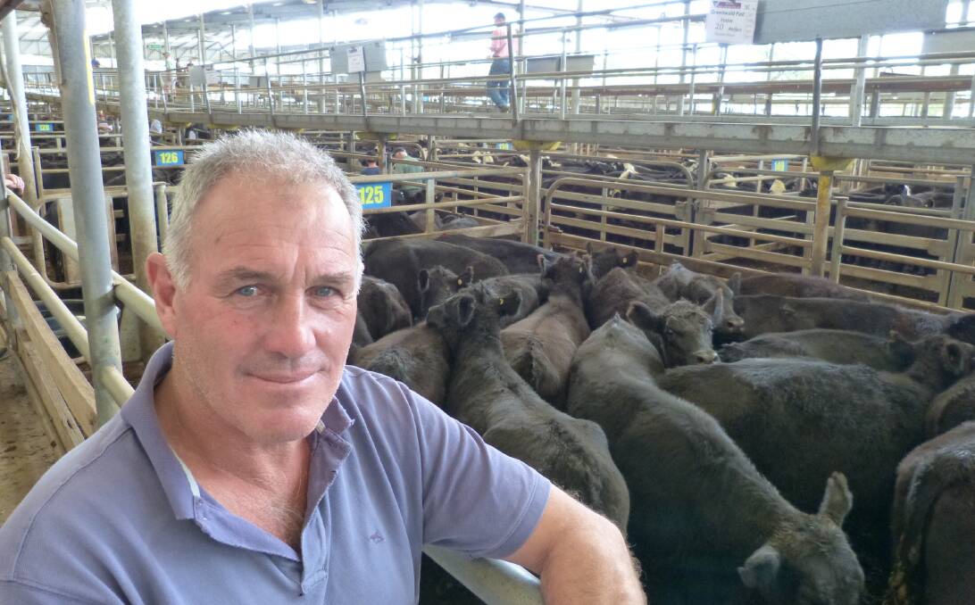 Malcolm Davies, Greenwald Past Co, Foster, sold 429 Angus heifers at Leongatha, because of the dry conditions, to $965, to average $886.