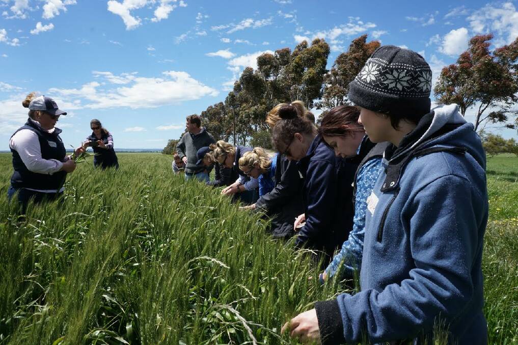 Level field: About 40 per cent of Australians in agriculture are women with the numbers continuing to rise, especially studying at tertiary level.