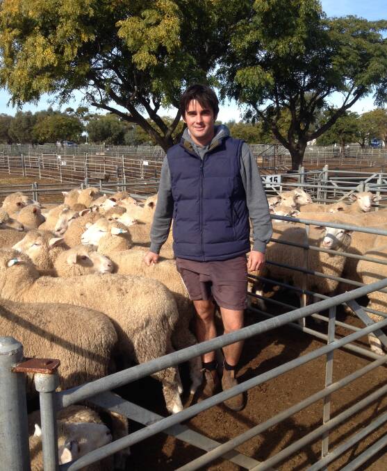 TOP: Nathan Hayward, of Piangil, with his exceptional quality, heavy export lambs. The lambs topped the market at Swan Hill, making $209. 
