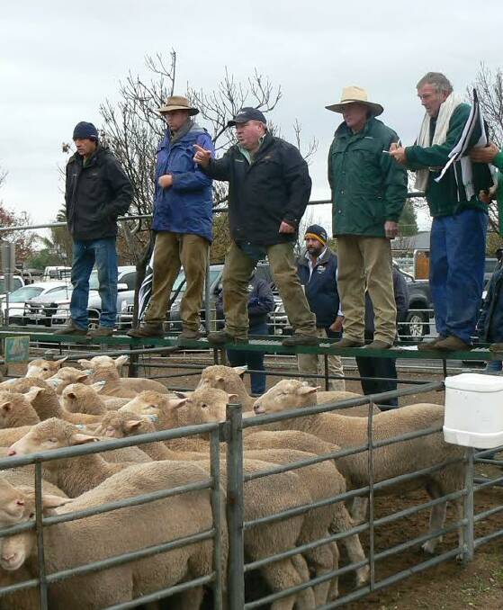 SALE: The Landmark team are pictured selling the first pen of lambs at the Ouyen Livestock Exchange. 