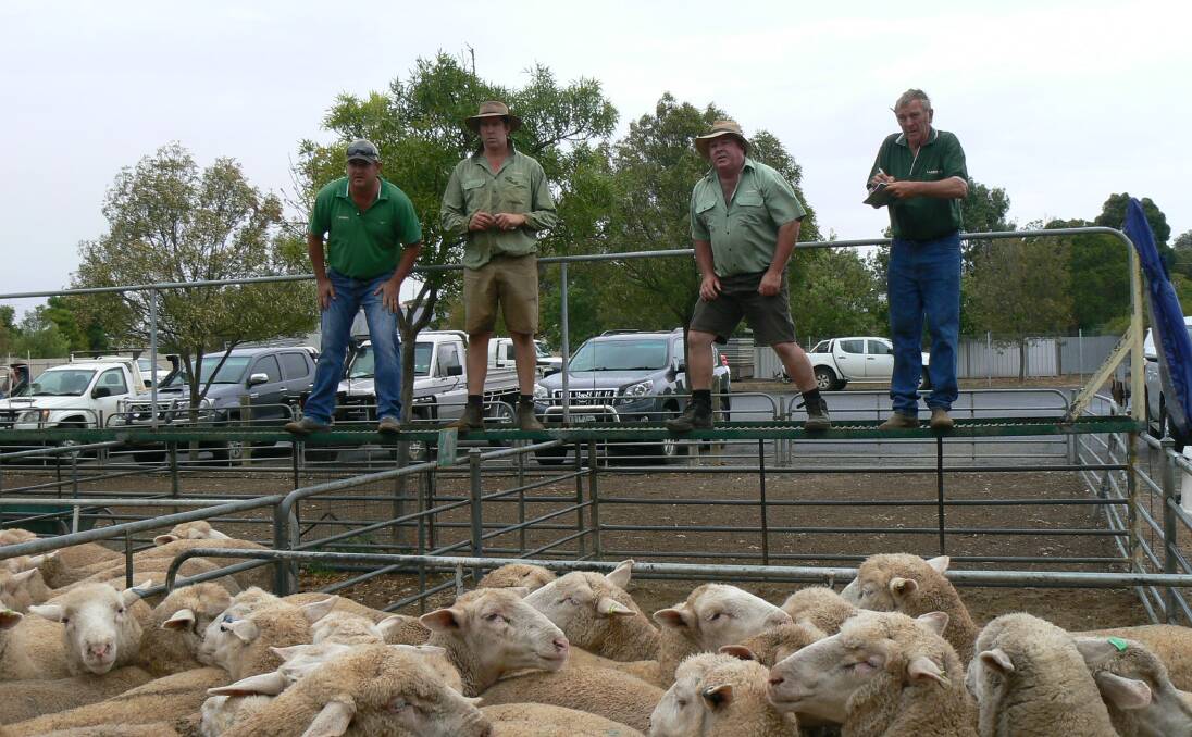 BIDDING: The Landmark team selling a pen of lambs at the Ouyen Livestock Exchange. Lamb prices improved significantly due to a combination of rain, the lower Australian dollar and tightening supplies at selling centres.	