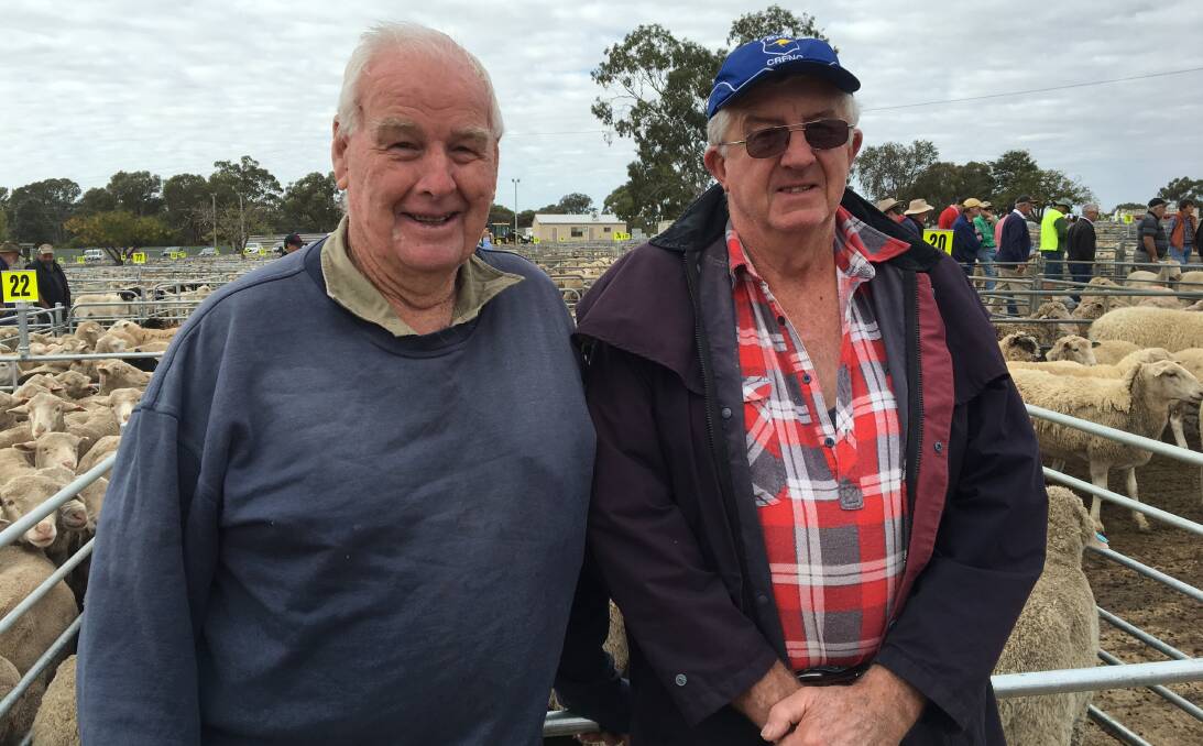 ICONS: Corowa icons, Keith Barber and Pat Drum, are pictured catching up and taking in the action at the town's weekly lamb sale.