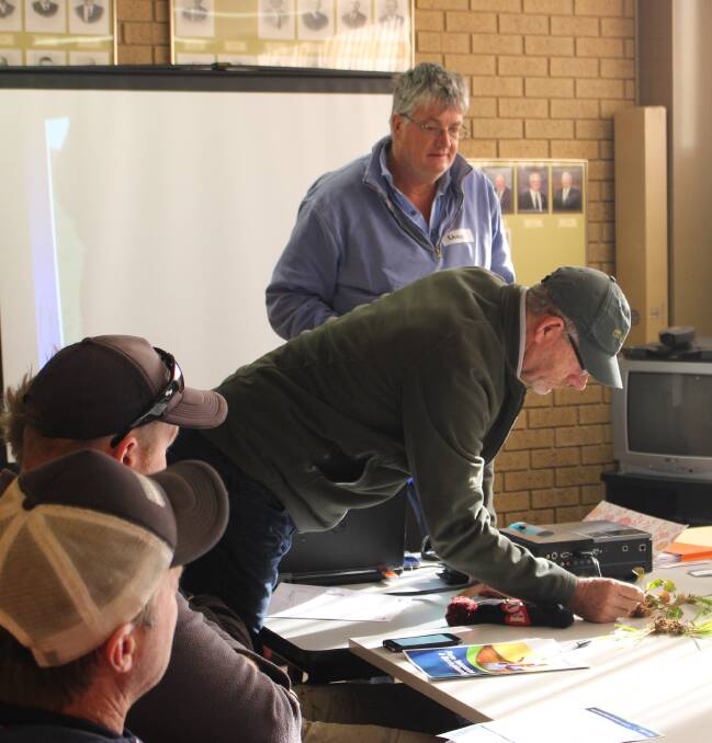 GOOD NUTRITION: SARDI’s Nigel Wilhelm assesses a canola seedling with potential micronutrient deficiency bought in by Hopetoun GAPP member Shane Edleston.