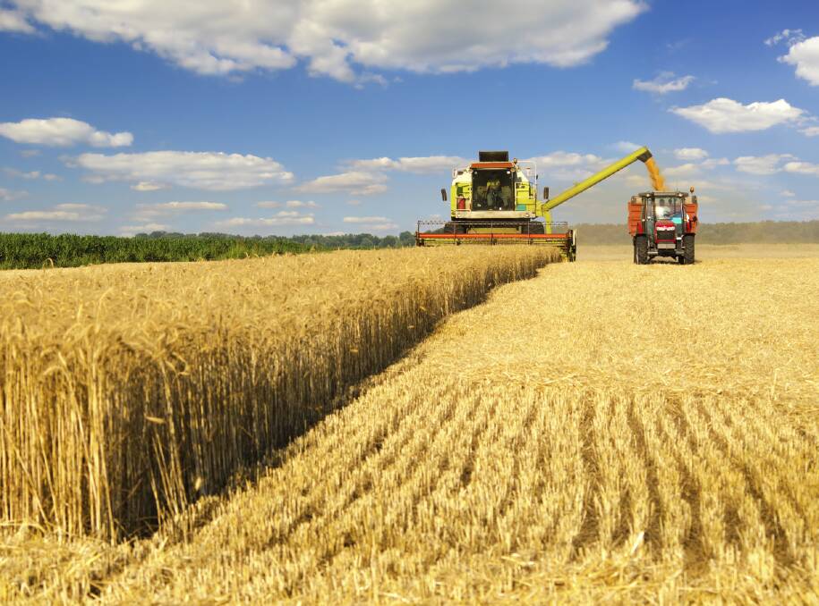 MARKET STABILISES: The wheat market has stabilised a little after its sharp rally, and initial sharp sell-off. 