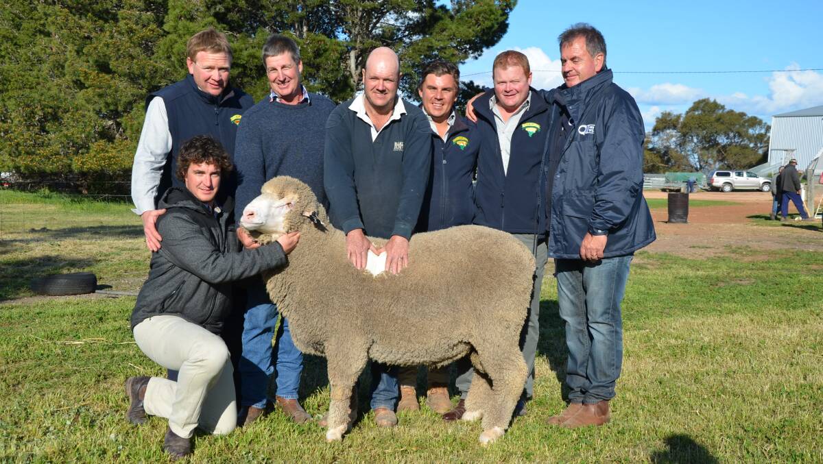 Minta studmaster Jess Hull (front), EP Livestock & Real Estate's Richard Hill, Cousins Merino Services' Paul Cousins, buyer Clint Rayner, Millbrae, Kimba, EP LIvestock & Real Estate's Ben Dickenson, auctioneer Adam Mountjoy and Quality Wool's Lawrence Seal.