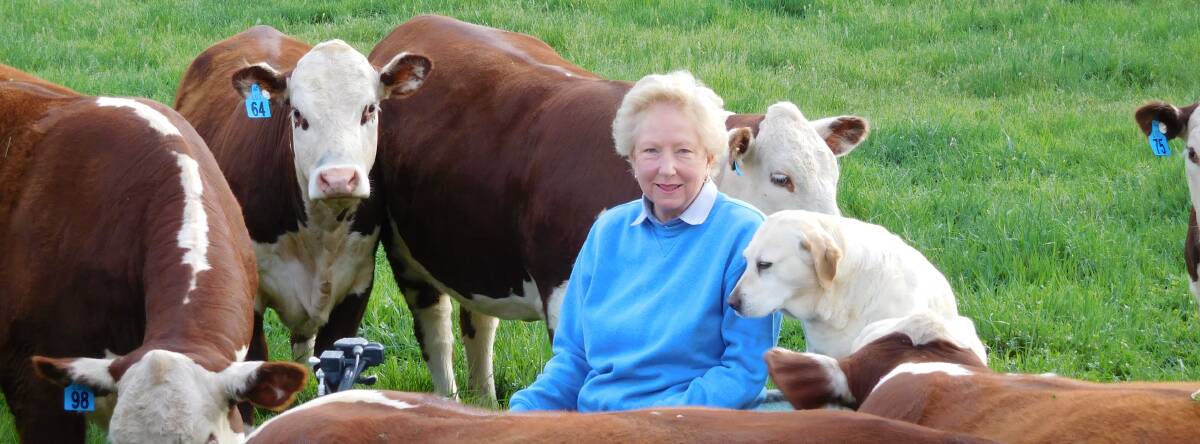 Blayney Poll Hereford stud cattle breeder Trish Worth was appointed a member of the Order of Australia (AM), 