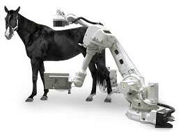 MLA will partner with 4DDI on the research to convert CT scanners from the horse racing industry. 