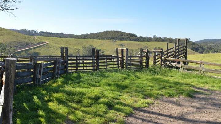 Gilgurry has timber cattle yards.