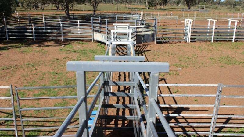 Oinmurra has two sets of cattle yards.