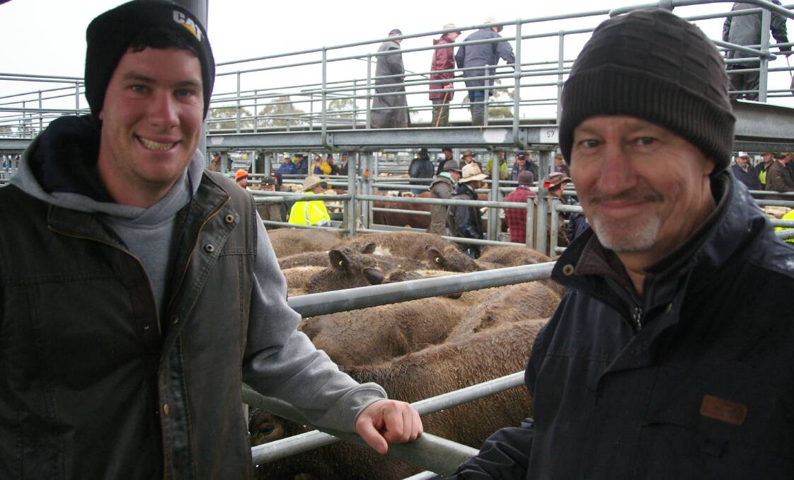 Lachie and Darren Hamilton, Ararat have sold drafts of their Warrack Angus and Murray Grey weaners each month for the past four sales at Ballarat.