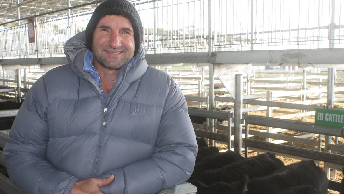 Hamilton cattleman, Pete Delaney was wrapped with his EU-Angus steer prices when rates for his Murroa East steers popped to sale high 335c/kg.
