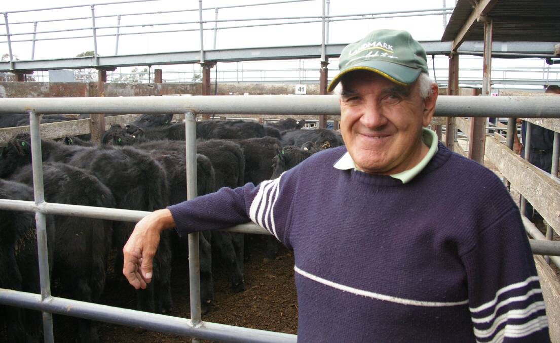 Daylesford-district cattlman Geoff Jenkins paid $680 a head for these Eaton Park Angus steer weaners to run on his warm bush block at Spa Vale. 