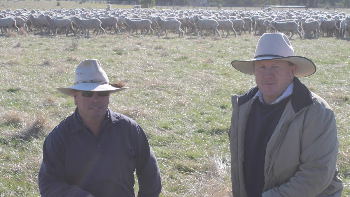 Boonoke manager, Allen Doidge and Australian Food & Agricultural (AFA) general manager, Justin Campbell with the Boonoke-bred wether weaners.