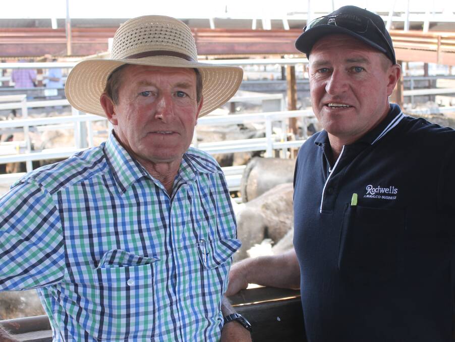 Keith Diprose Romsey, with Kilmore agent Peter Lenahan sold 77 Angus for better than expected results, with their heaviest pen, 370kg, sold at 377c/kg or $1395.