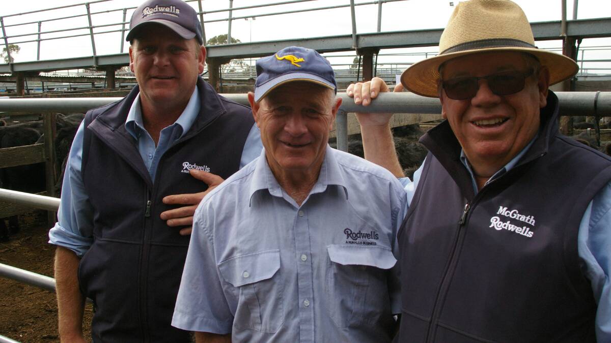 The three Kierans: O'Shannessey from Bendigo, Keogh from Castlemaine and McGarth from Kyneton, all at work for Rodwells at the Kyneton saleyards  