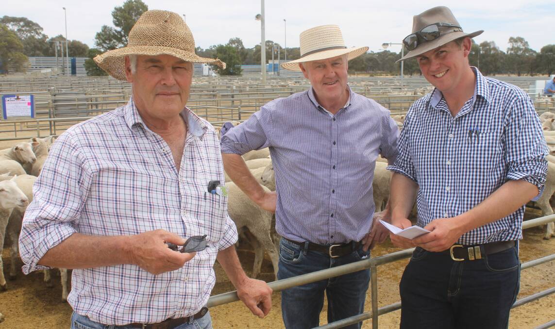 Glenthompson grazier, Ted Mann with TB White and Sons' Gerrard White and Michael White purchased 838 young ewes from Friday's Bendigo sale.