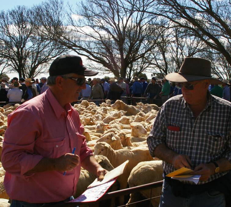 Peter Head, Elders Swan Hill, and Rodney Dunn, Murray Downs, paid $136 for the Charinga-blood, 5 year-old, Formosa ewes 