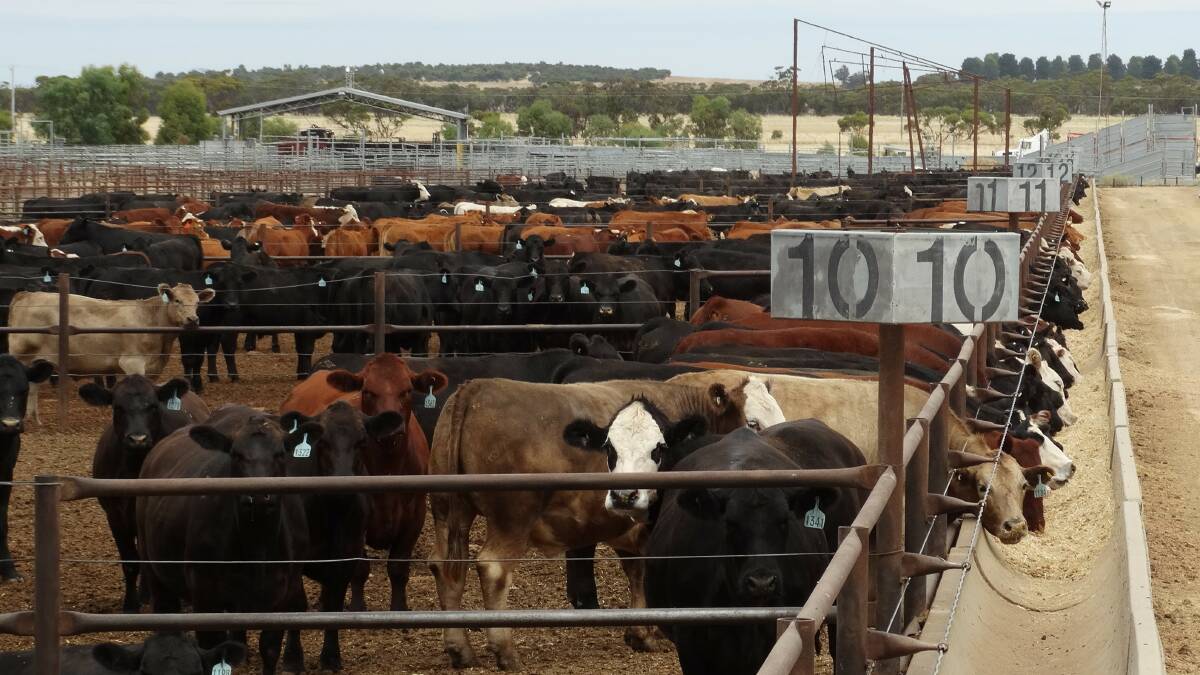 Now under the control of the Harmony Group, the Gerang Gerung Feedlot has been rebranded as Dimboola.