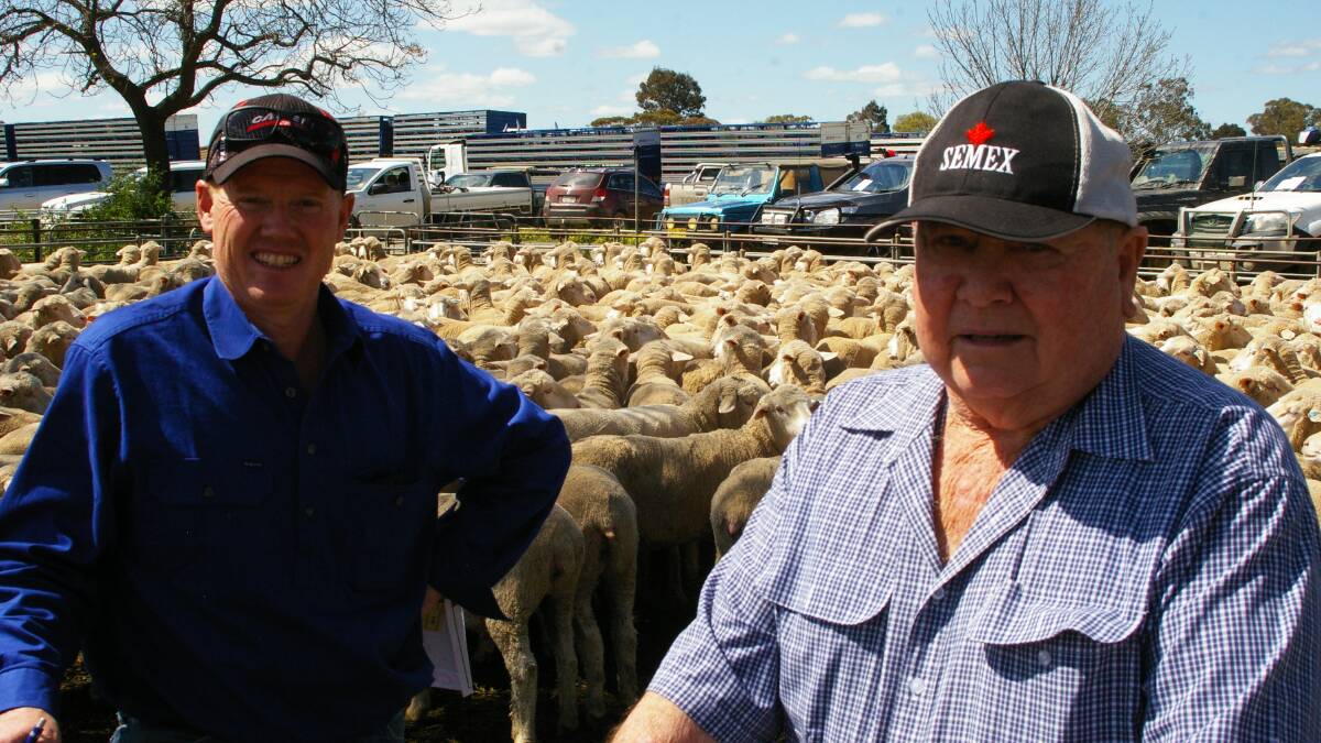 Wrong RFID technology selected for sheep tags