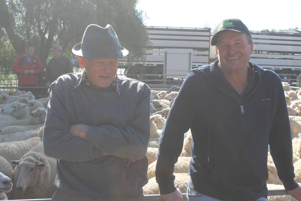 Lionel Mann, Pyramid Hill pictured with his father Allan Mann paid the $302 market top for scanned in lamb young ewes at Wycheproof. 