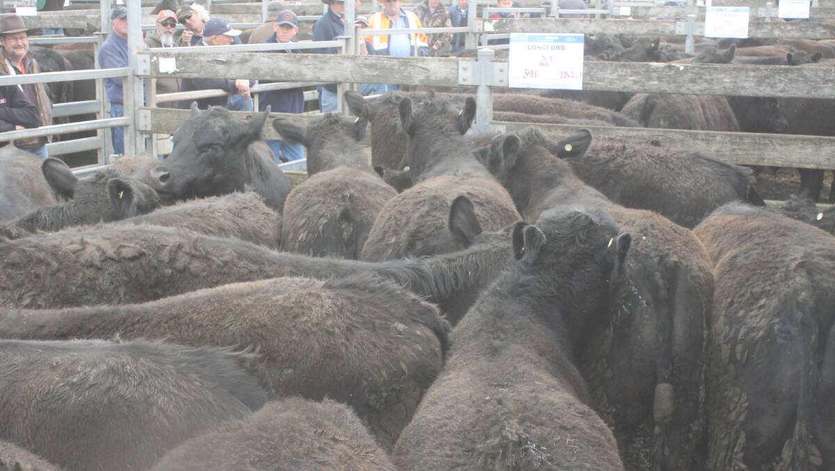 Supplies offered this week at reported east coast saleyards remained at a mere dribble compared with past early October pennings, being the lowest for more than a decade.