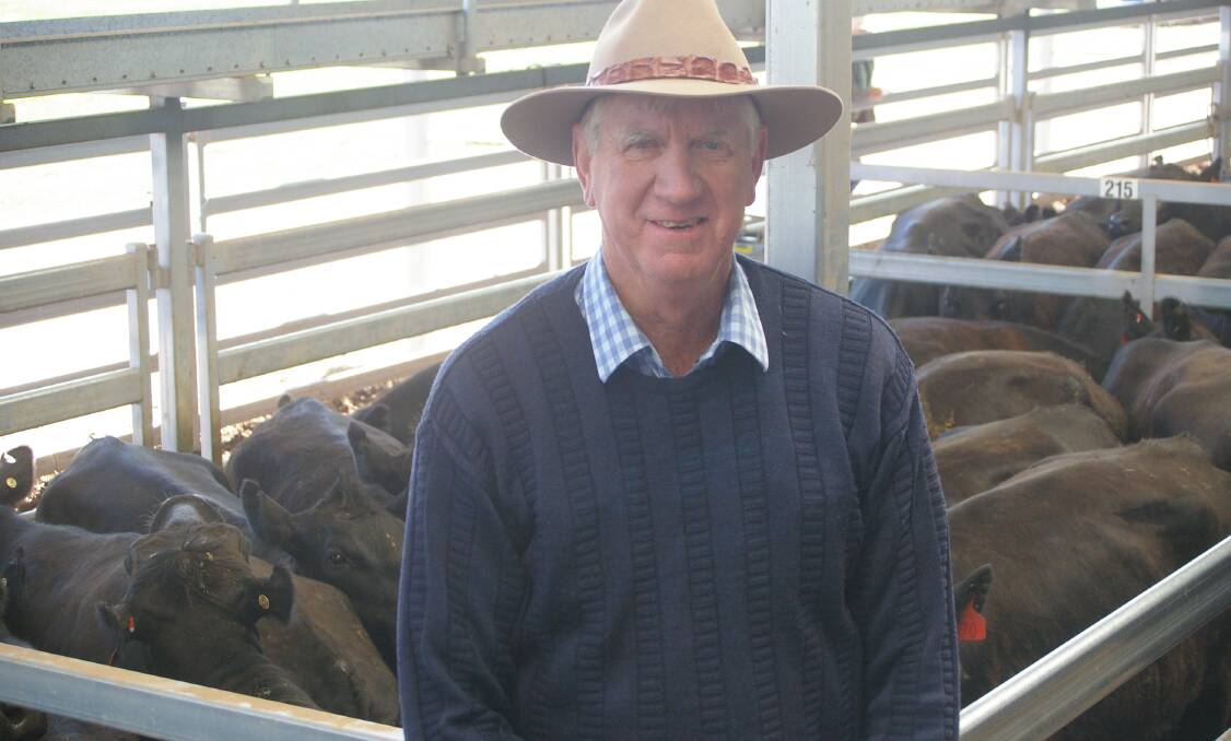 EC Seidel & Co's, Ian Seidel dispersed the Seidel family's Buckingbong Angus herd at NVLX Barnawartha