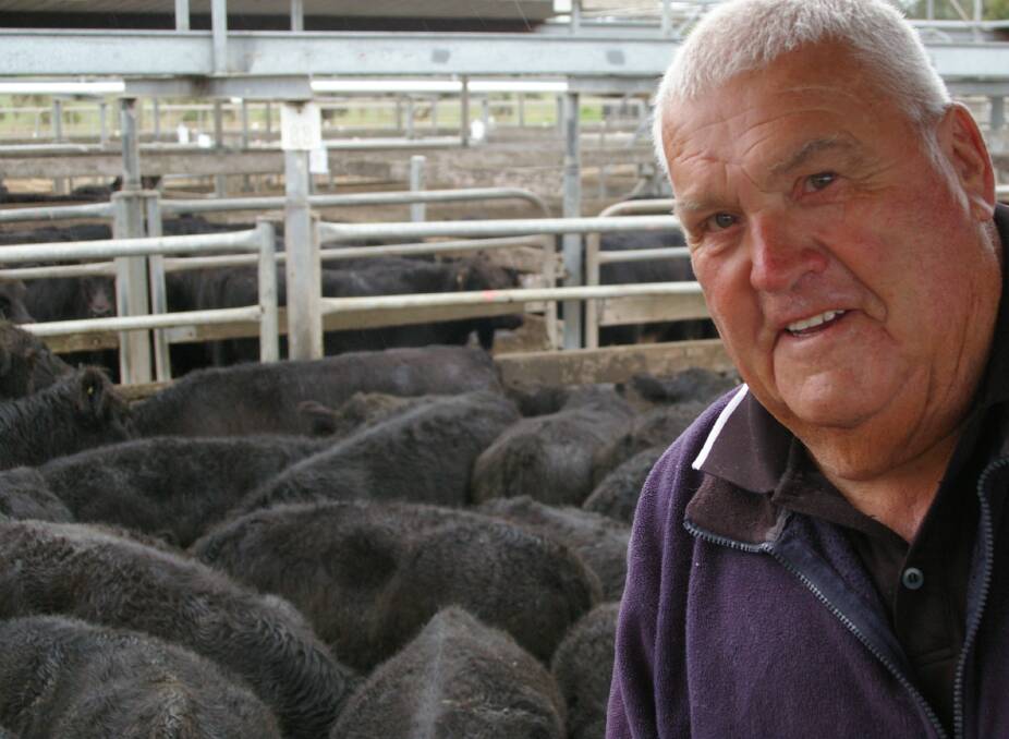 An Angus Society member for 60 years Stan Ross, Ellerslie, sold spring-drop Angus weaners he would have normally kept to sell next month.  