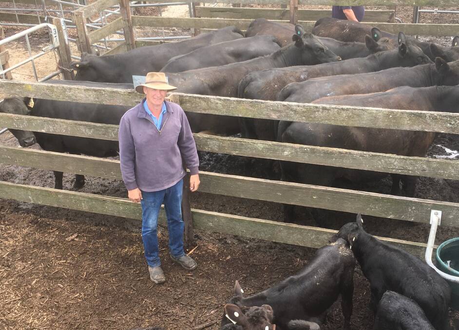 Quality outfit: Anthony Battesby “Woodlands” with his pen of Angus heifers and calves to six weeks sold for $2500 to a Pakenham buyer. The heifers were not rejoined.