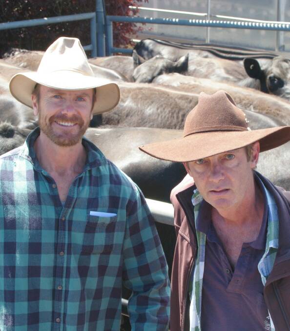 Bellbrae producer Andie McIntyre (left) paid $2060 for a choice buy of mixed aged PTIC Angus cows at Kyneton. He was pictured with Matthew O'Halloran, Myrniong.