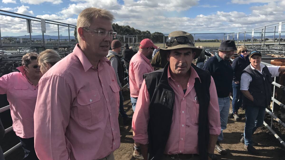 Tasmanian business managers James Cornish and Nigel Brown watched over proceedings at the third of Elders' annual Tasmania weaner sale at Powranna.