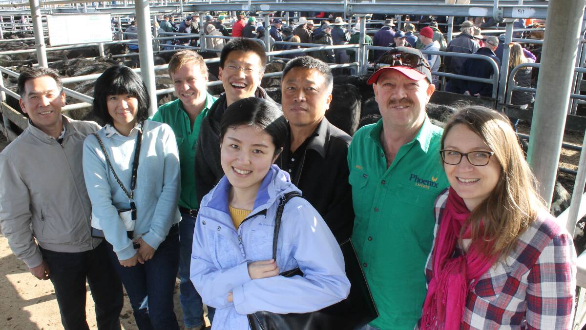 A touring party from the China Exim Bank and Harmony Food and Agriculture Company checked out selling at the Ballarat store cattle market