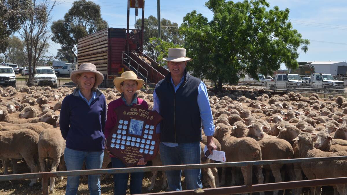 Jerilderie young ewes to $252 a head