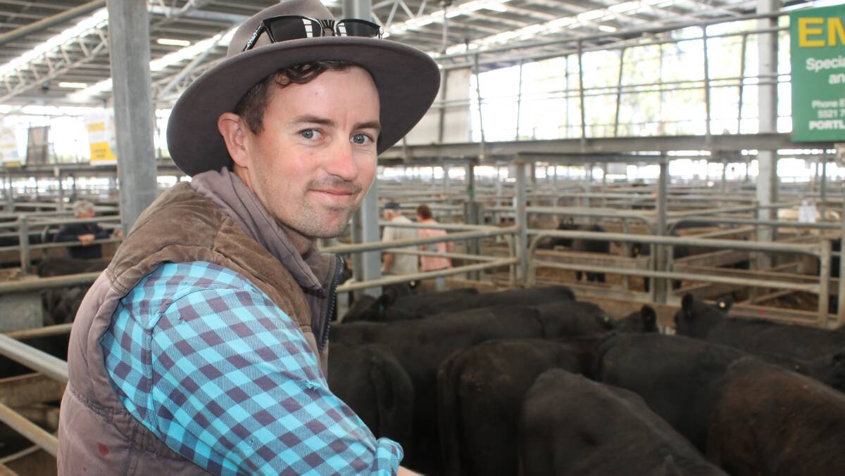 Xavier Prime, Cororooke, paid to $1335 a head for two yards of young Angus Coolana-blood heifers he will join to Banquet bulls for future breeding.