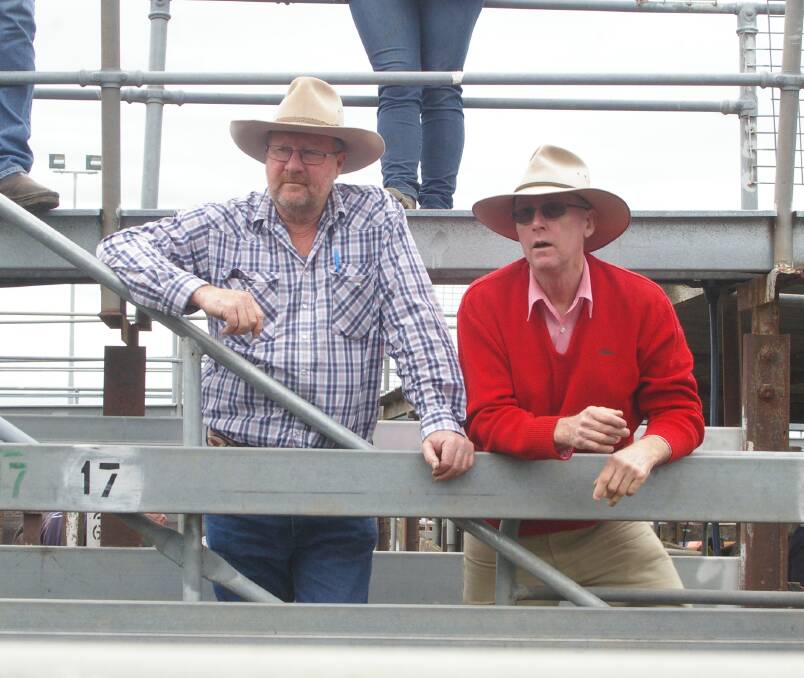 Peter Toohey, Colbinabbin and Brendan Coxon, Kyneton kept a close eye of selling at Kyneton where local buyers dominated, with plenty of grass to be eaten in the area. 