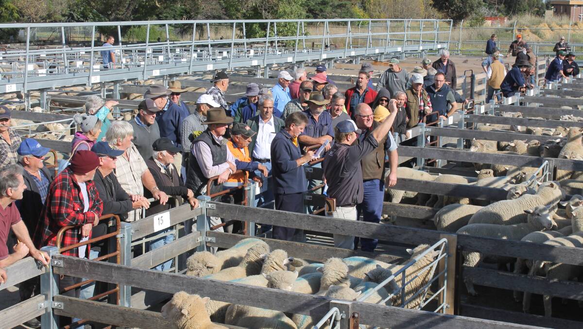 Social Contact: For many in outlying areas, saleyards are the farmers' Men’s Shed, providing social contact for discussing rural issues.