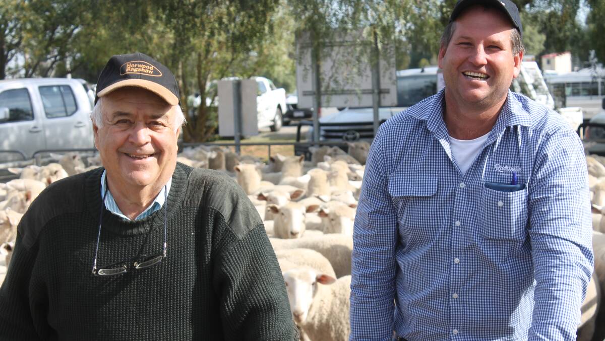 Mallee expats, John Gross, Castle Creek and Scott Meehan, Rodwells Euroa were cheerful returning to Wycheproof buying first-cross ewe lambs at $200 a head.