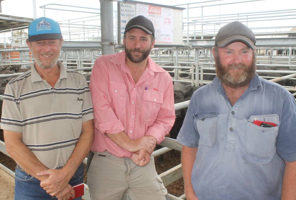 Hopeful of an ANZAC break, Jack Rowe, Woodhouse and Andrew Button, Elders Hamilton purchased two yards of Wolgan Angus weaners, Anvil and LKK-blood, bred at Brewster by Glenn Pretty. 