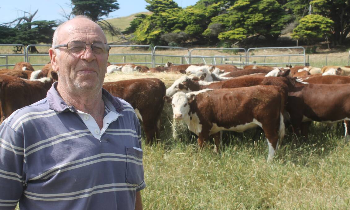 Manni Carlin has changed gears from local livestock transport operator to cattle breeder in retirement and says his Hereford calves are some of the best he has bred.