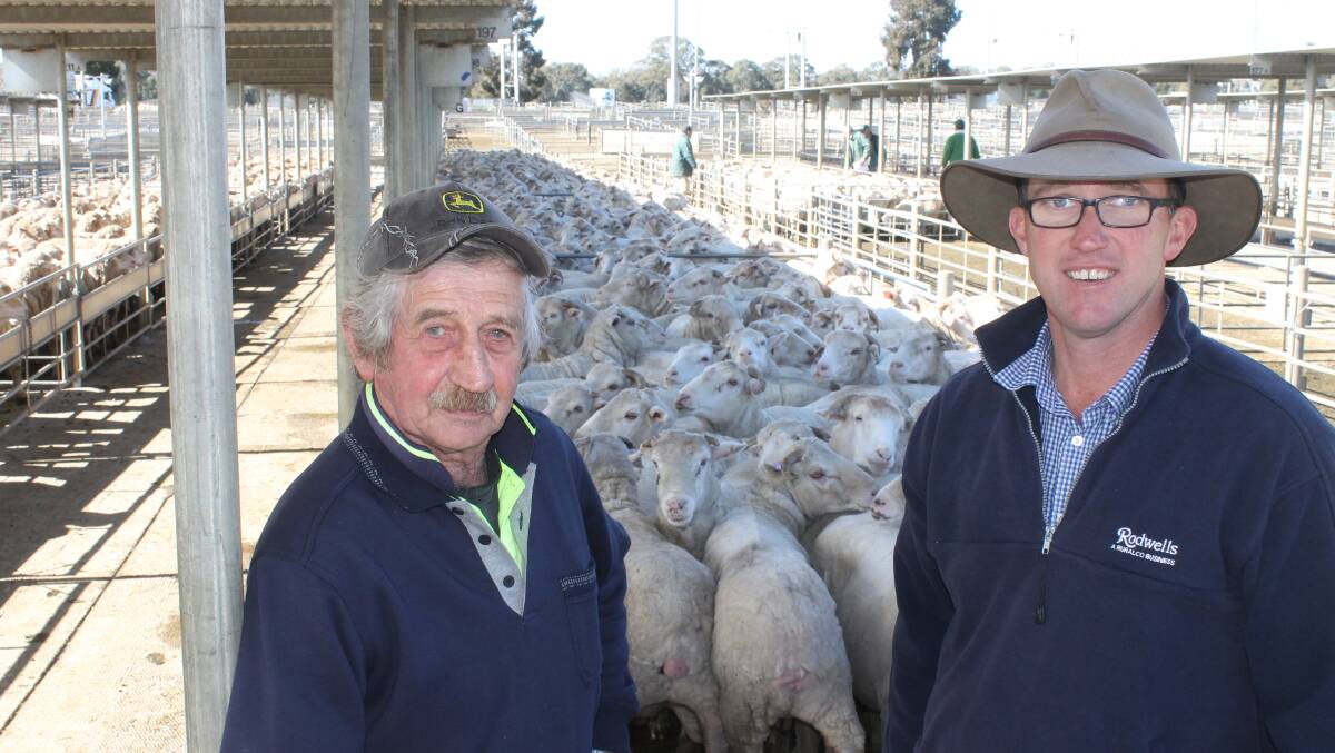 Creek View wool grower, Neville Cheatley and Nick Byrne, Rodwells sold these Kiawarra-blood five-year-old wethers to $134 at Bendigo on Monday.