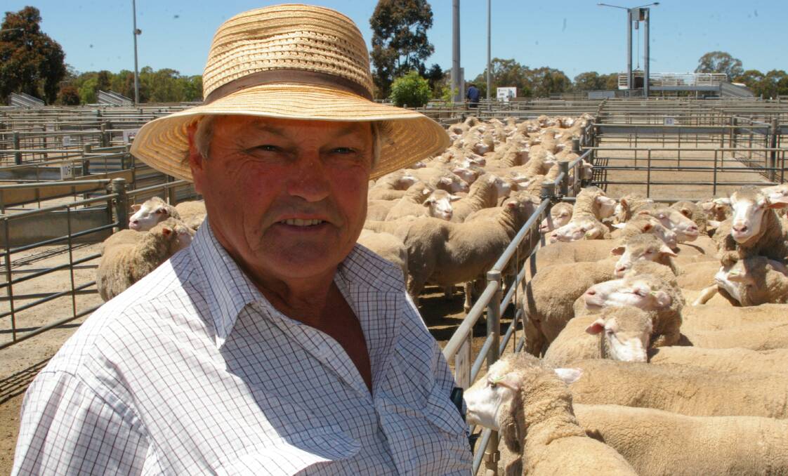 John Humbert, Calivil, celebrated his return to market selling after years of flock rebuilding clearing his Kedleston Park 5 year-old ewes at $156/head
