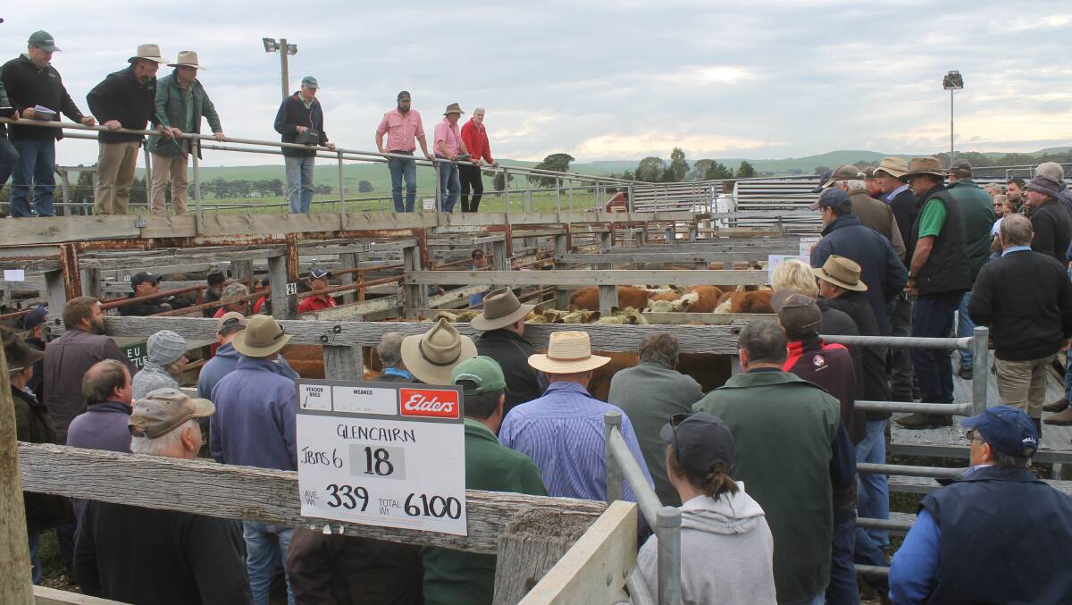 A hastily re-arranged selling schedule has been planned for Casterton sales with the aim to entice buyers to buy early.  