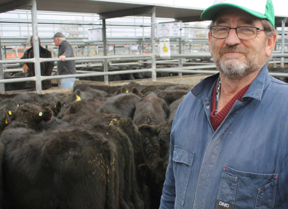 Noted spring-drop weaner lines, the likes of the Carngham Station Angus steers that were sold at Ballarat Friday, have featured in recent markets. Pictured with the Carngham Station steers, which made to $1280, and averaged $1240, is the property's manager, Glenn Bird.