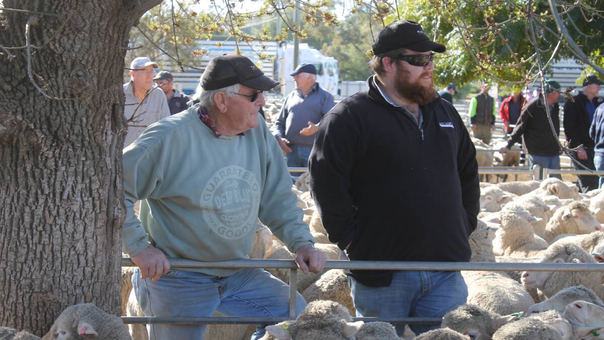 Ron and Heath Pollington, Nullawil, were keen bidders on a line of mixed age Merino ewes sold for $174 a head. 