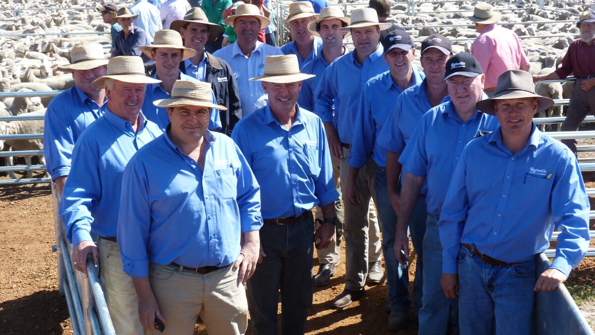 The Rodwells West Wimmera crew found their new Edenhope saleyards much easier to work in, with talk already emerging the facility may be increased in size for next years sales
