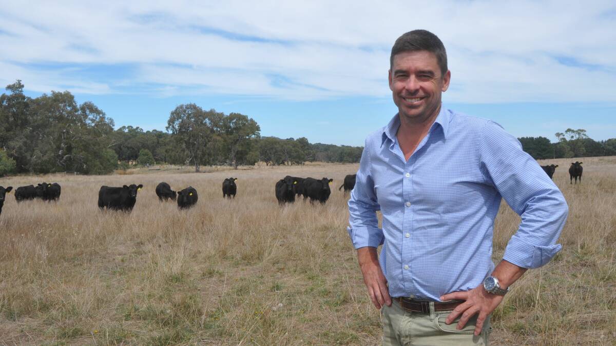 NEW VENTURE: Southern Graziers' Sam Pentelow at Pages Flat - one of three properties where he has entered a profit share arrangement.