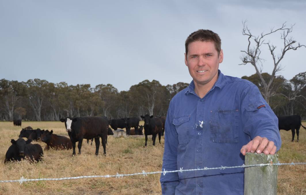 SALE REWARD: Monbulla cattle producer James Skeer says his family's decision to focus on Angus cattle is paying off in South East saleyards.