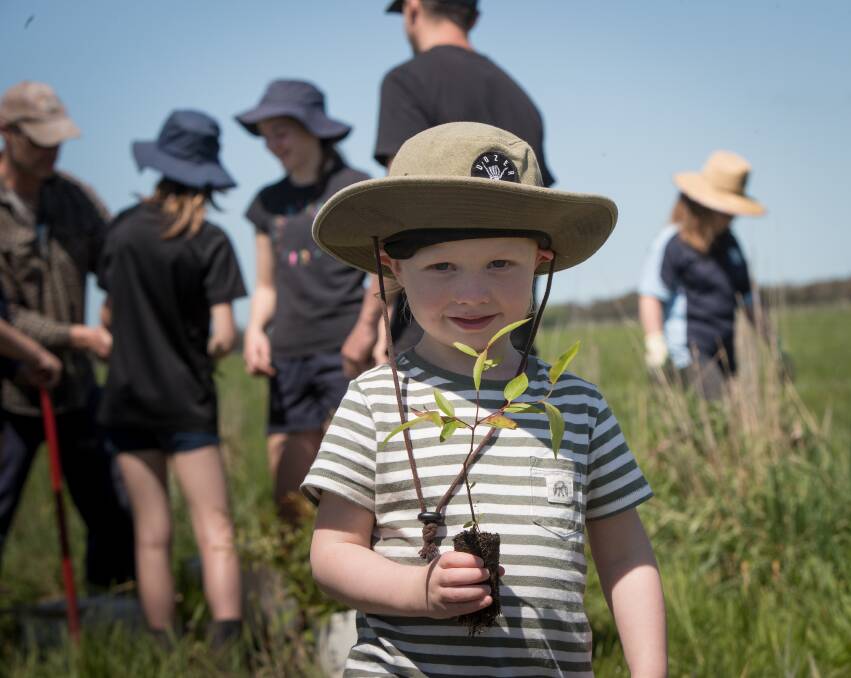 Three-year-old Ziggy Wheeler was more than happy to get his hands dirty during a tree-planting excursion to Dixie, Vic. Picture by Sean McKenna