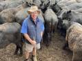 Greg Holcombe, Camp Creek, Branxholme, sold 156 Angus steers, 10 months, to a top price of $1370.