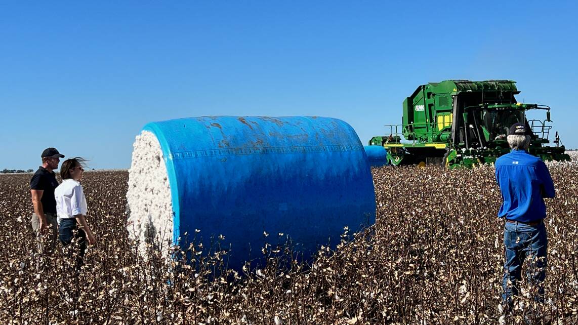 Ex-ADF personnel are now working on cotton farms in Australia. 